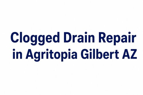 Clogged Drain Repair in Agritopia Gilbert AZ  Common Causes  Solutions