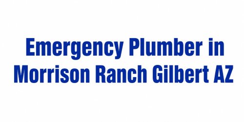 Emergency Plumber in Morrison Ranch Gilbert AZ  What to Do About a Water Heater Leak