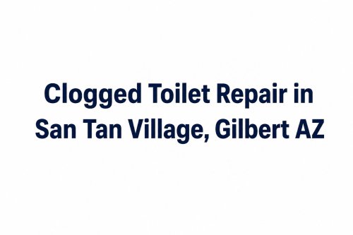 Clogged Toilet Repair in San Tan Village Gilbert AZ  DIY Fixes  When to Call a Plumber