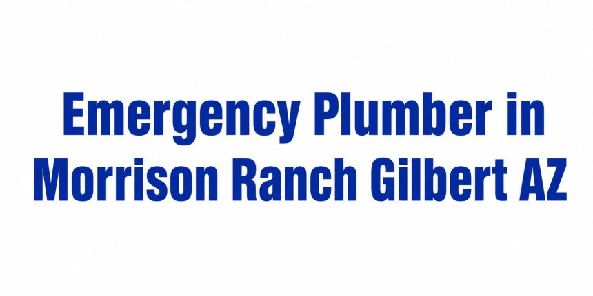 Emergency Plumber in Morrison Ranch Gilbert AZ  What to Do About a Water Heater Leak