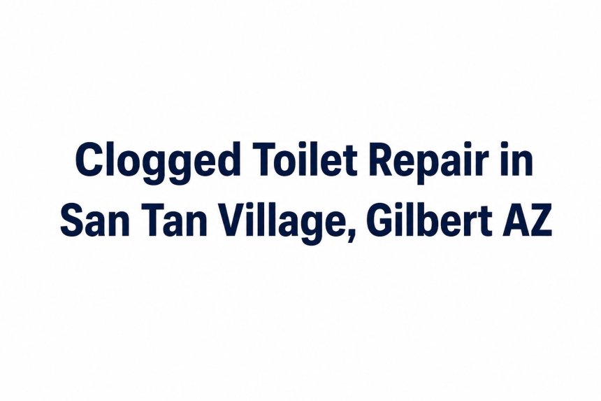Clogged Toilet Repair in San Tan Village Gilbert AZ  DIY Fixes  When to Call a Plumber
